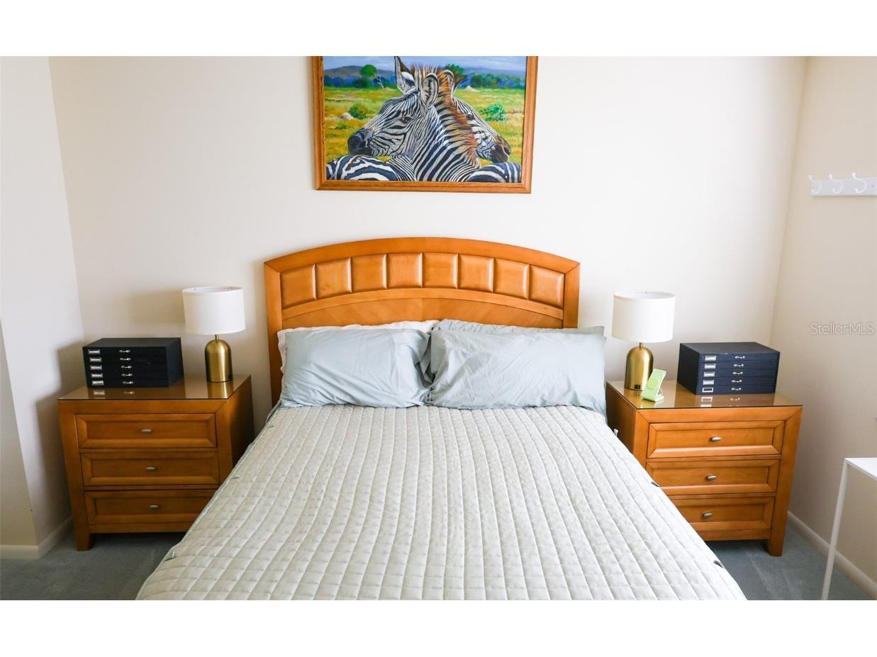 1695 Hamilton Court Dunedin FL 34698 TB8453533 image10