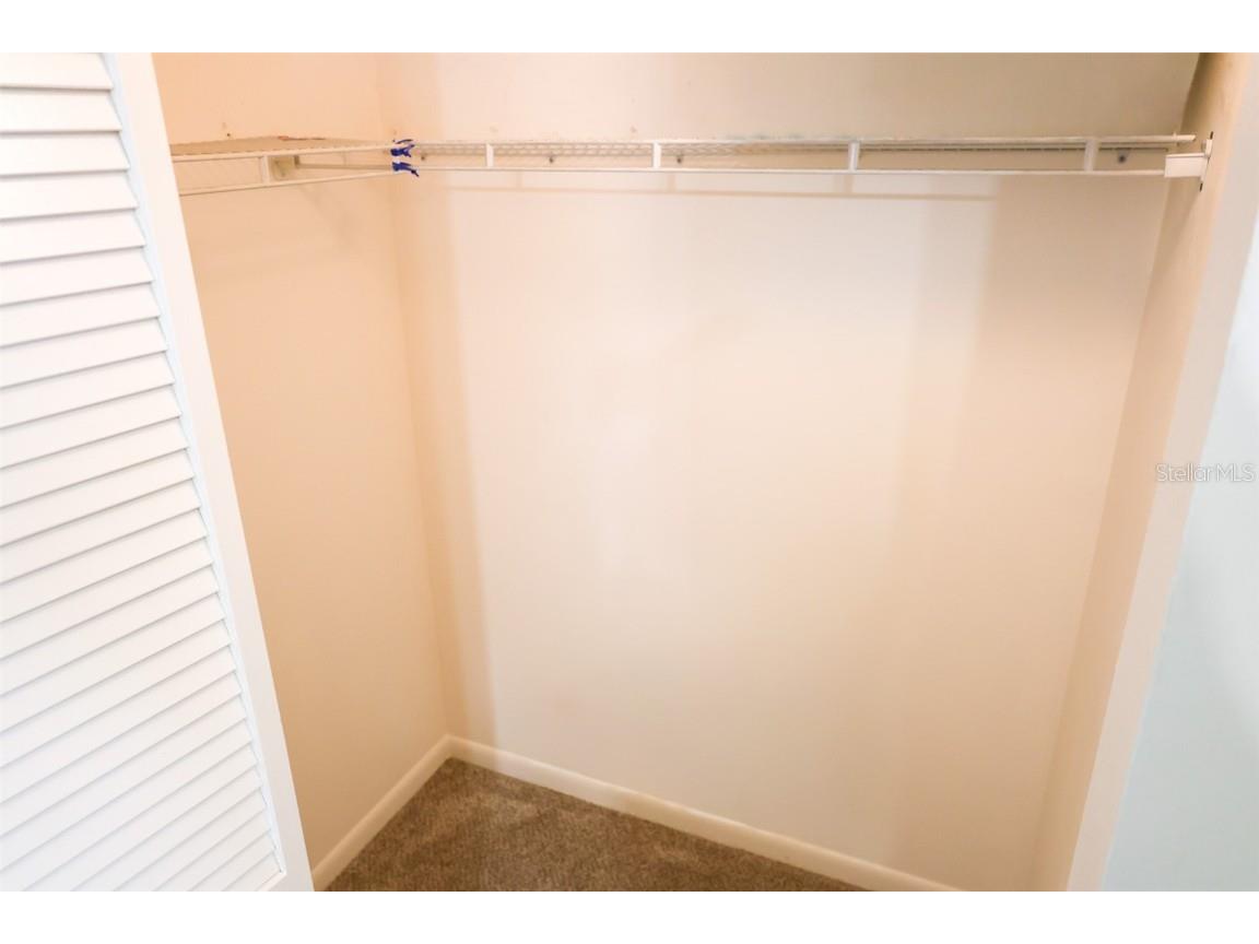 1695 Hamilton Court Dunedin FL 34698 TB8453533 image18