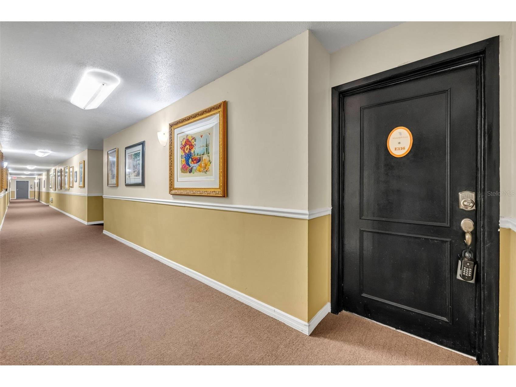 1695 Lee Road #E116 Winter Park FL 32789 O6399346 image3