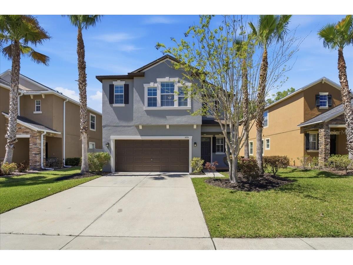 1695 Ludington Avenue Wesley Chapel FL 33543 TB8488741 image1