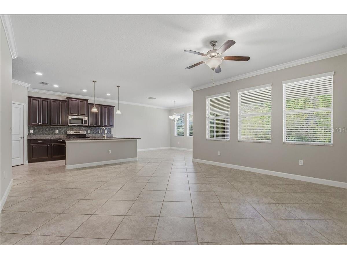 1695 Ludington Avenue Wesley Chapel FL 33543 TB8488741 image10