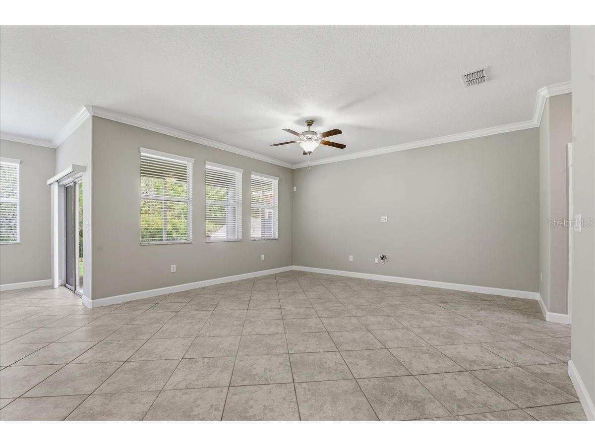 1695 Ludington Avenue Wesley Chapel FL 33543 TB8488741 image11