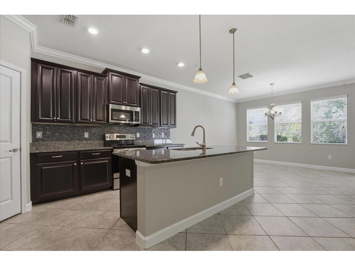 1695 Ludington Avenue Wesley Chapel FL 33543 TB8488741 image14