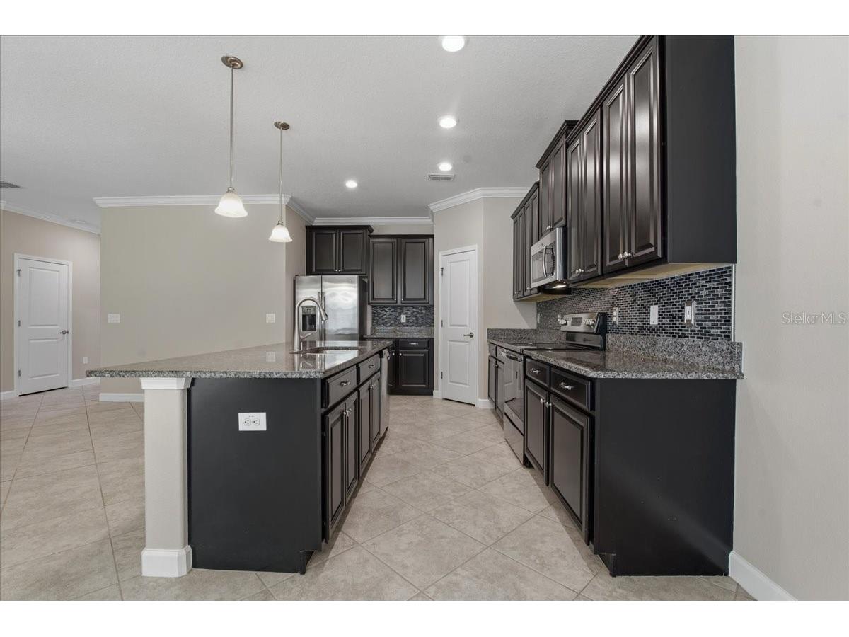 1695 Ludington Avenue Wesley Chapel FL 33543 TB8488741 image15