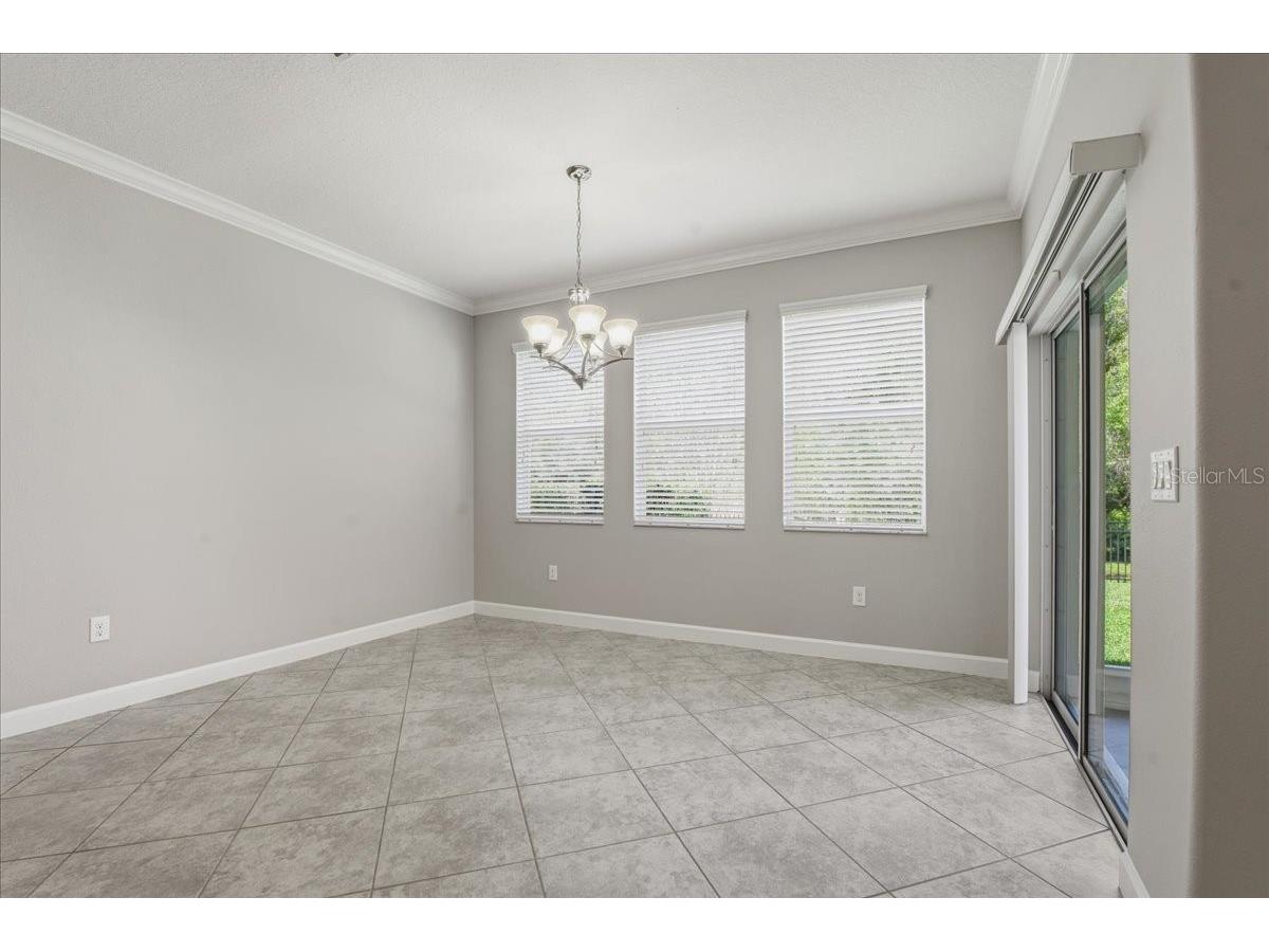 1695 Ludington Avenue Wesley Chapel FL 33543 TB8488741 image21