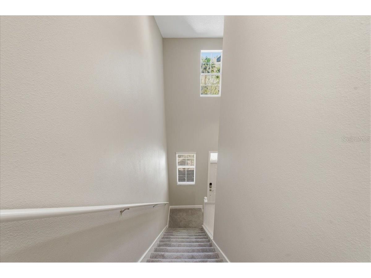 1695 Ludington Avenue Wesley Chapel FL 33543 TB8488741 image22