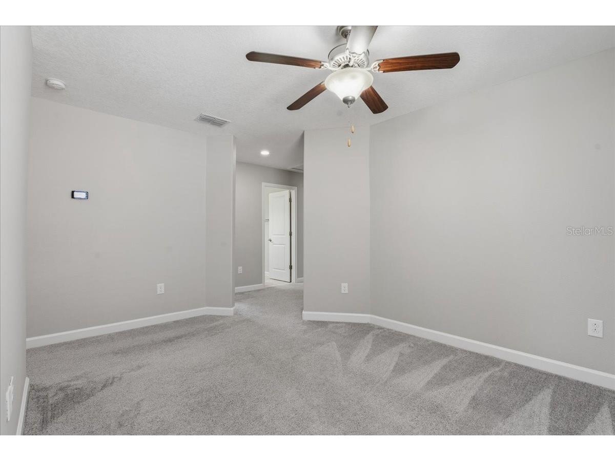 1695 Ludington Avenue Wesley Chapel FL 33543 TB8488741 image24