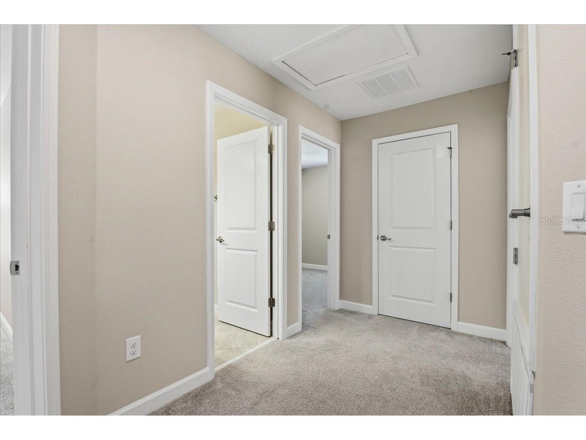 1695 Ludington Avenue Wesley Chapel FL 33543 TB8488741 image25