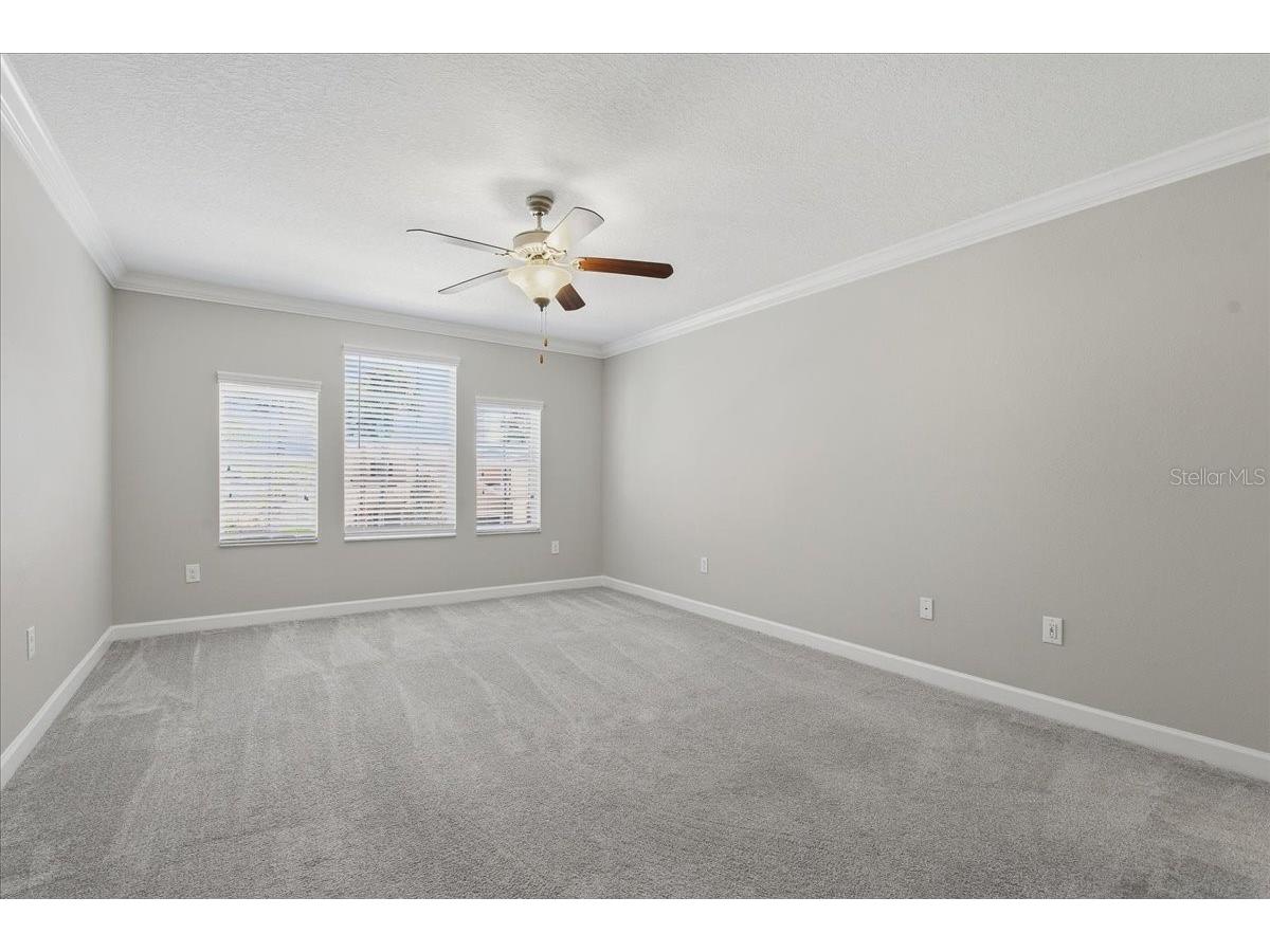 1695 Ludington Avenue Wesley Chapel FL 33543 TB8488741 image26