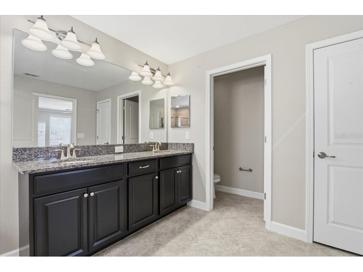 1695 Ludington Avenue Wesley Chapel FL 33543 TB8488741 image28