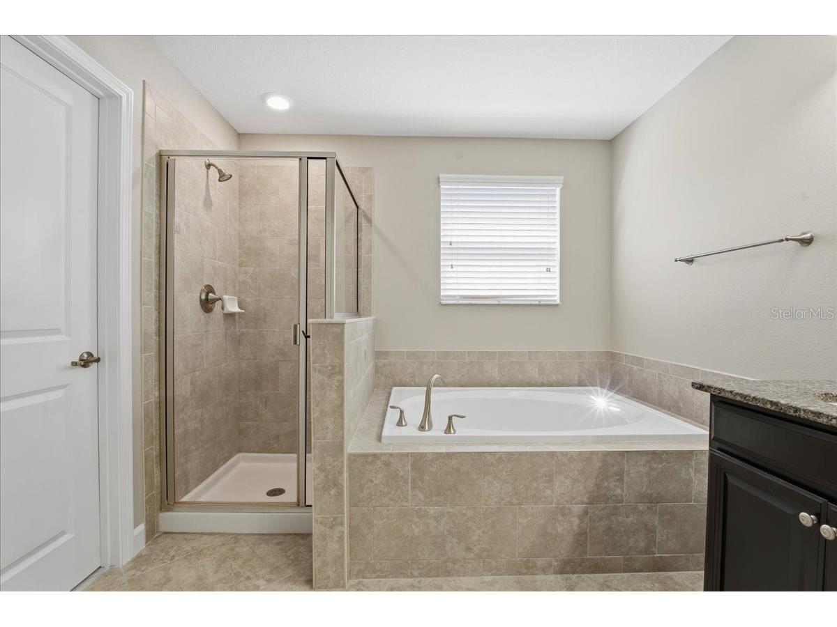 1695 Ludington Avenue Wesley Chapel FL 33543 TB8488741 image29