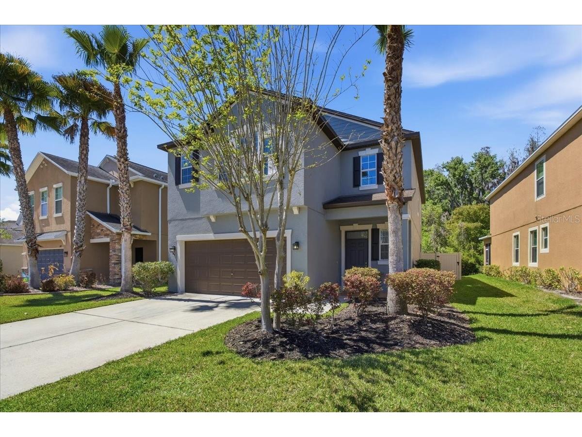 1695 Ludington Avenue Wesley Chapel FL 33543 TB8488741 image3