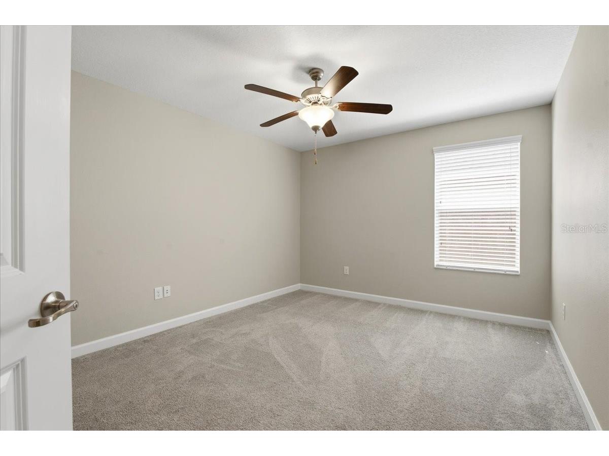 1695 Ludington Avenue Wesley Chapel FL 33543 TB8488741 image31