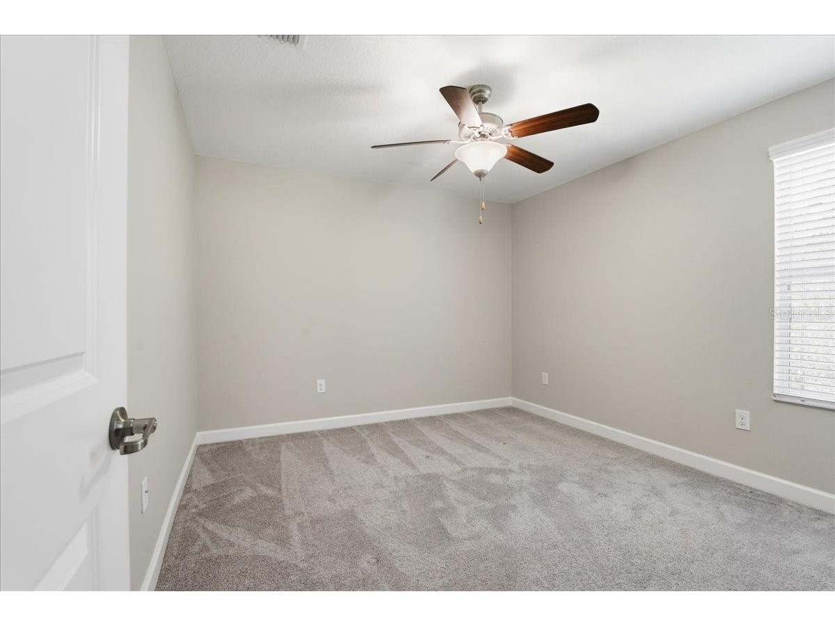 1695 Ludington Avenue Wesley Chapel FL 33543 TB8488741 image34