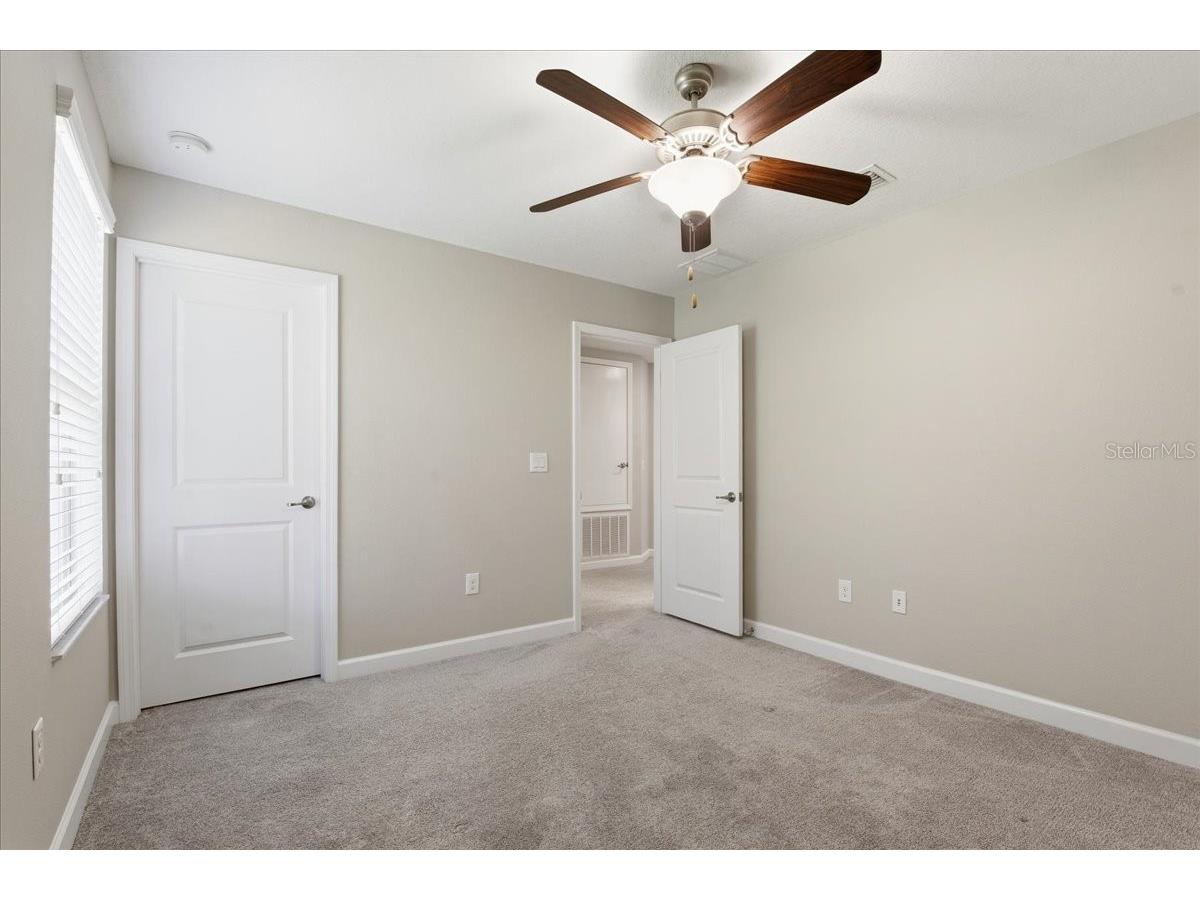 1695 Ludington Avenue Wesley Chapel FL 33543 TB8488741 image35