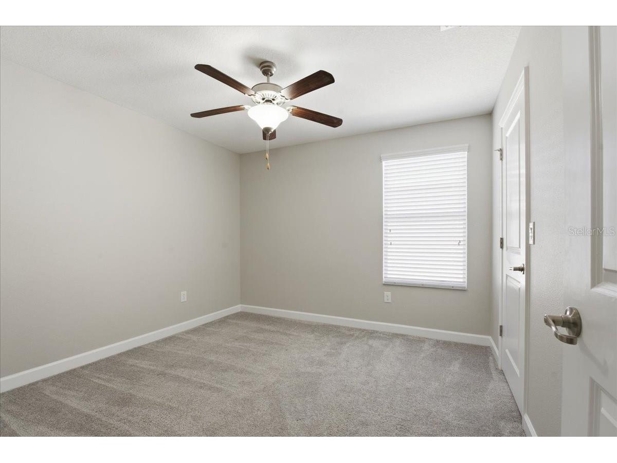 1695 Ludington Avenue Wesley Chapel FL 33543 TB8488741 image37