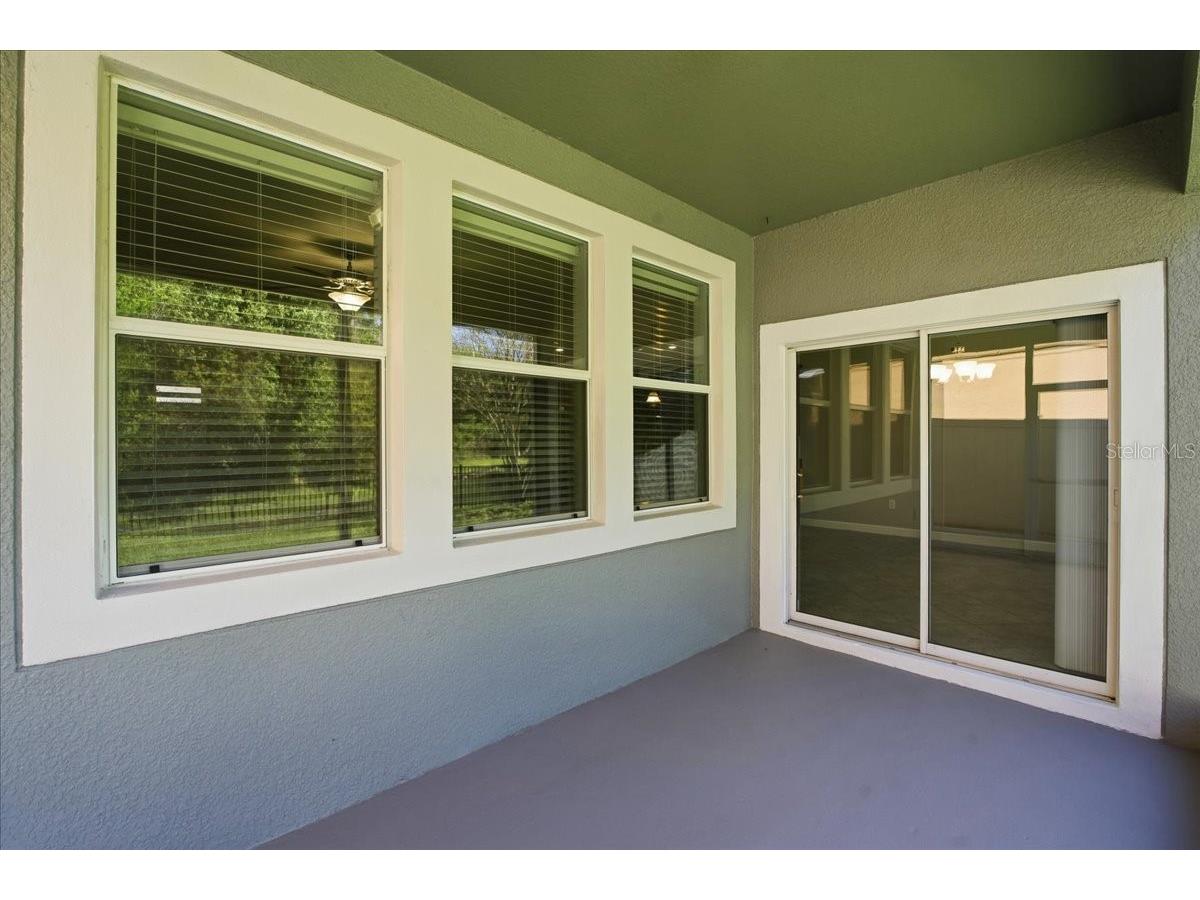 1695 Ludington Avenue Wesley Chapel FL 33543 TB8488741 image39