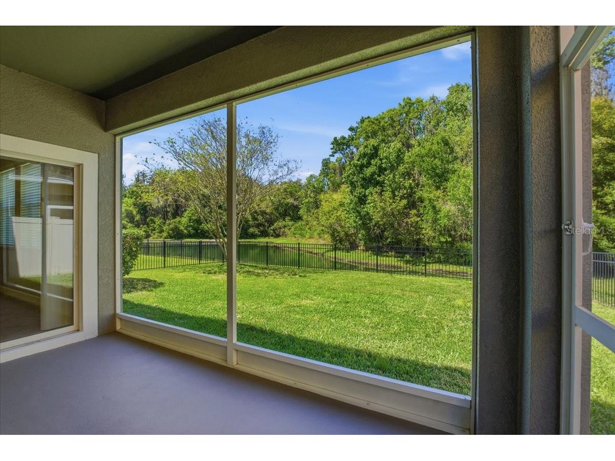 1695 Ludington Avenue Wesley Chapel FL 33543 TB8488741 image40