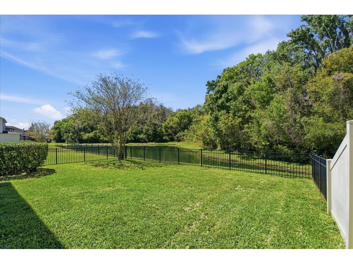 1695 Ludington Avenue Wesley Chapel FL 33543 TB8488741 image43