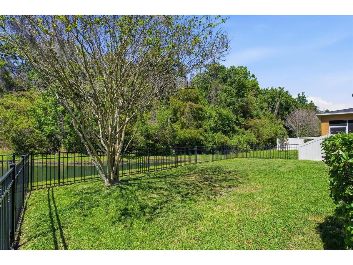 1695 Ludington Avenue Wesley Chapel FL 33543 TB8488741 image44