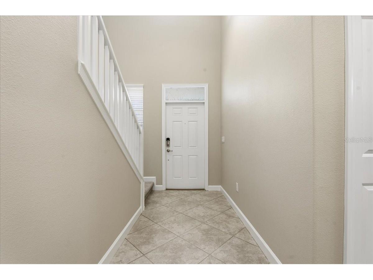 1695 Ludington Avenue Wesley Chapel FL 33543 TB8488741 image5