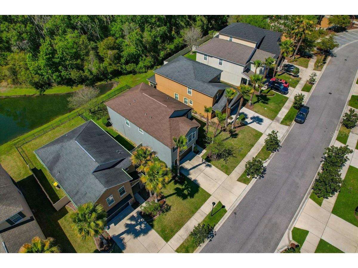 1695 Ludington Avenue Wesley Chapel FL 33543 TB8488741 image51