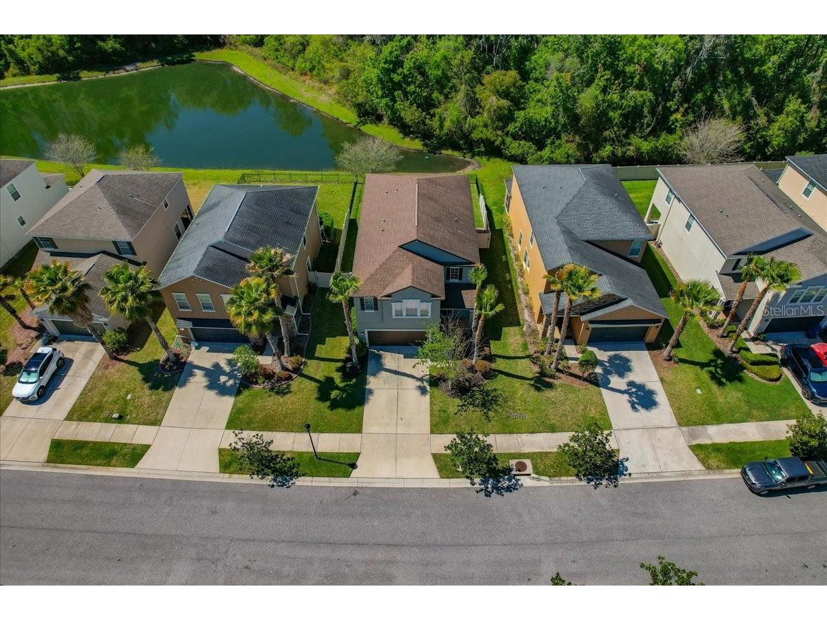 1695 Ludington Avenue Wesley Chapel FL 33543 TB8488741 image52