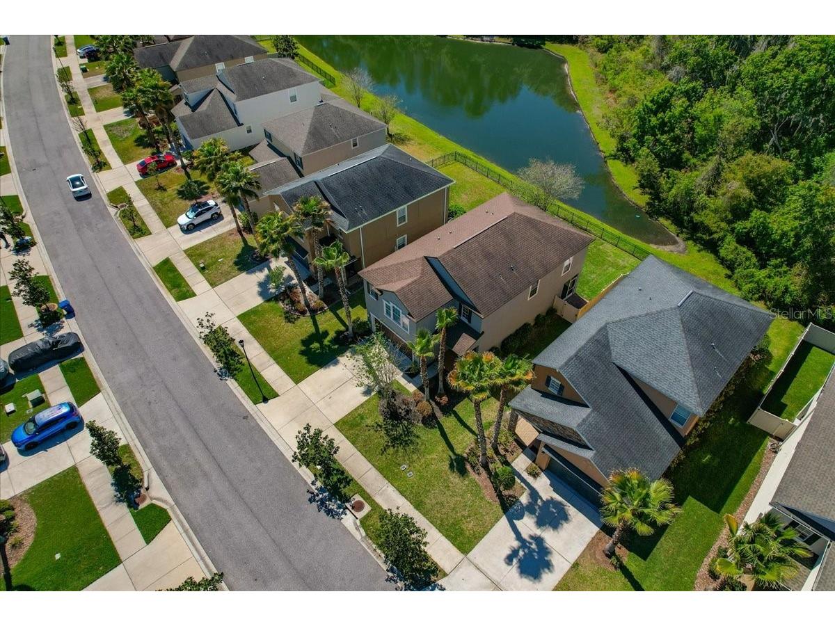 1695 Ludington Avenue Wesley Chapel FL 33543 TB8488741 image53