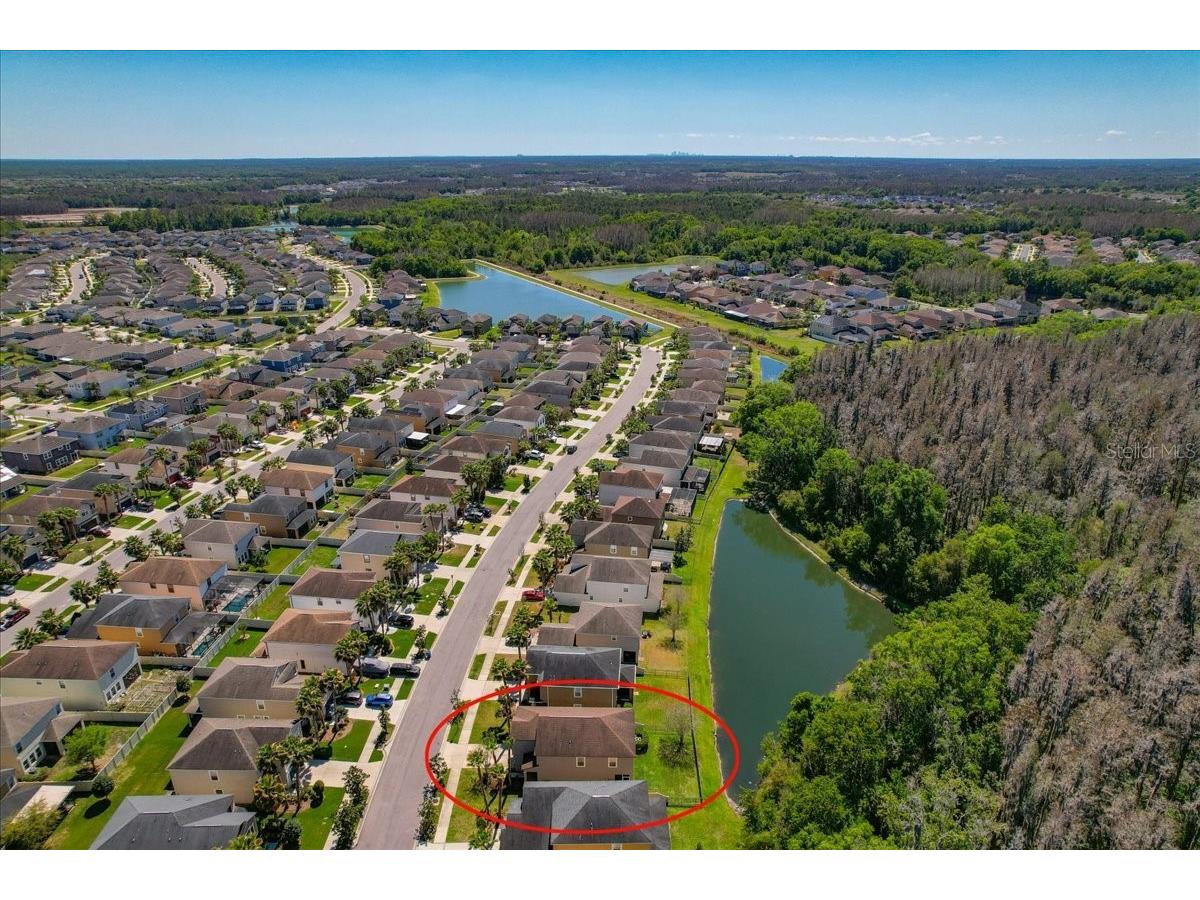 1695 Ludington Avenue Wesley Chapel FL 33543 TB8488741 image57