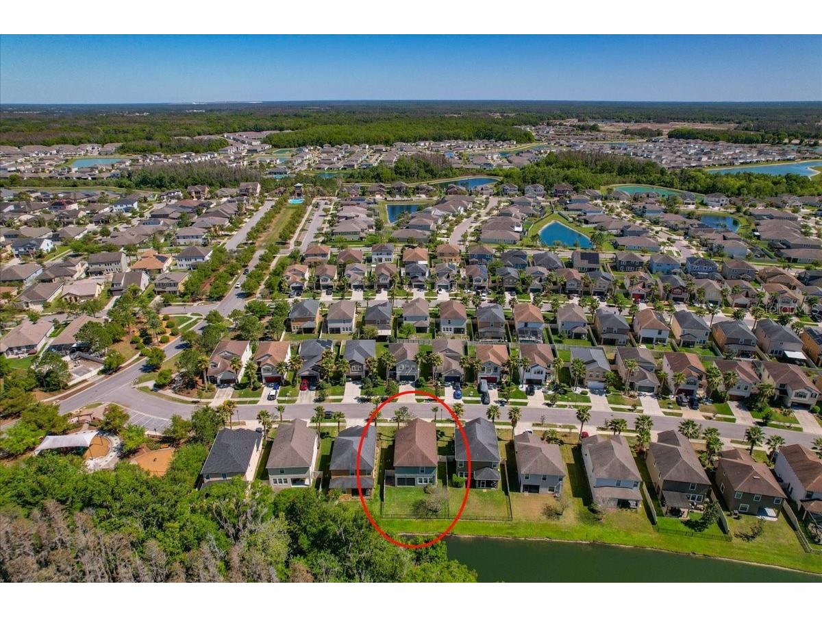 1695 Ludington Avenue Wesley Chapel FL 33543 TB8488741 image58