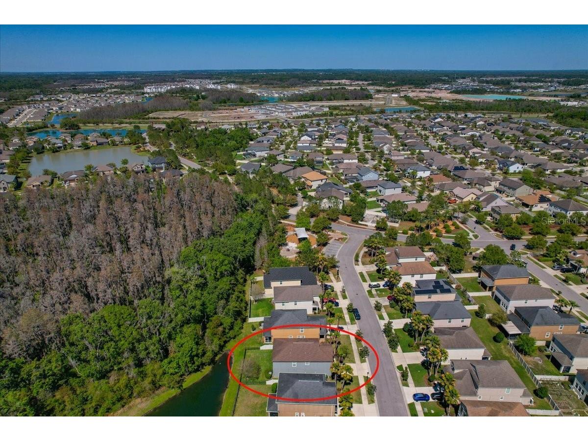 1695 Ludington Avenue Wesley Chapel FL 33543 TB8488741 image59