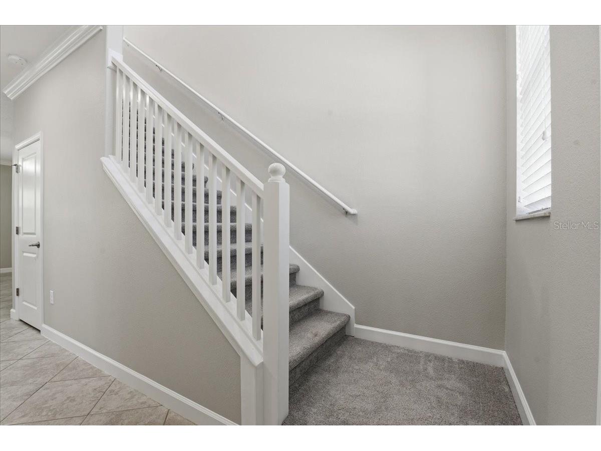 1695 Ludington Avenue Wesley Chapel FL 33543 TB8488741 image6