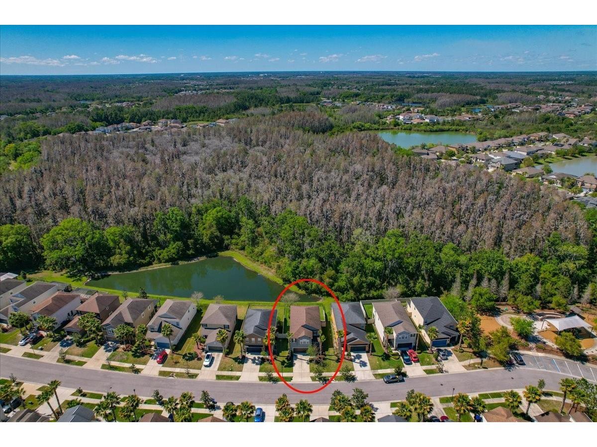 1695 Ludington Avenue Wesley Chapel FL 33543 TB8488741 image60