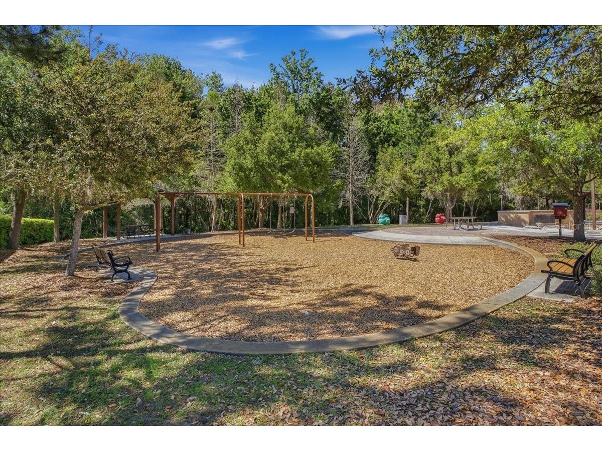 1695 Ludington Avenue Wesley Chapel FL 33543 TB8488741 image61