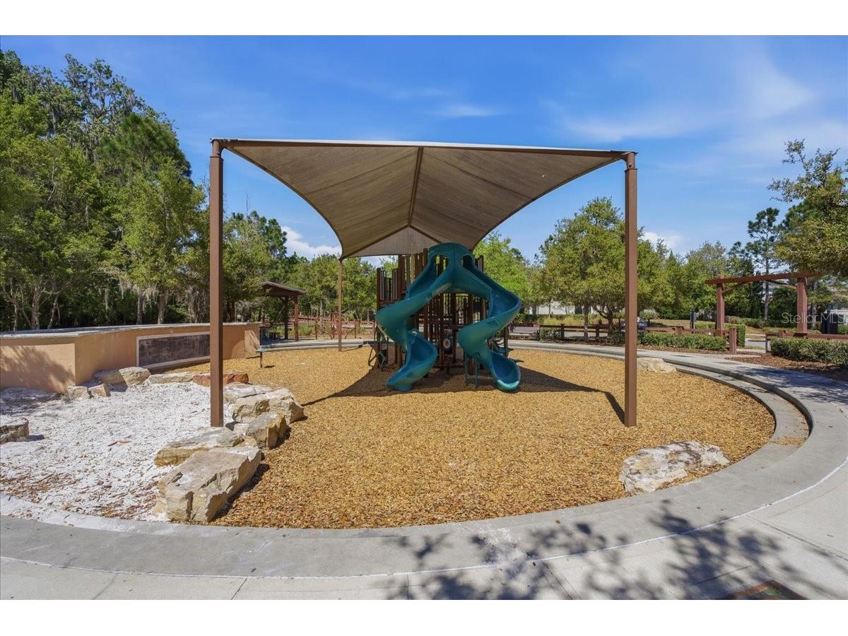 1695 Ludington Avenue Wesley Chapel FL 33543 TB8488741 image62