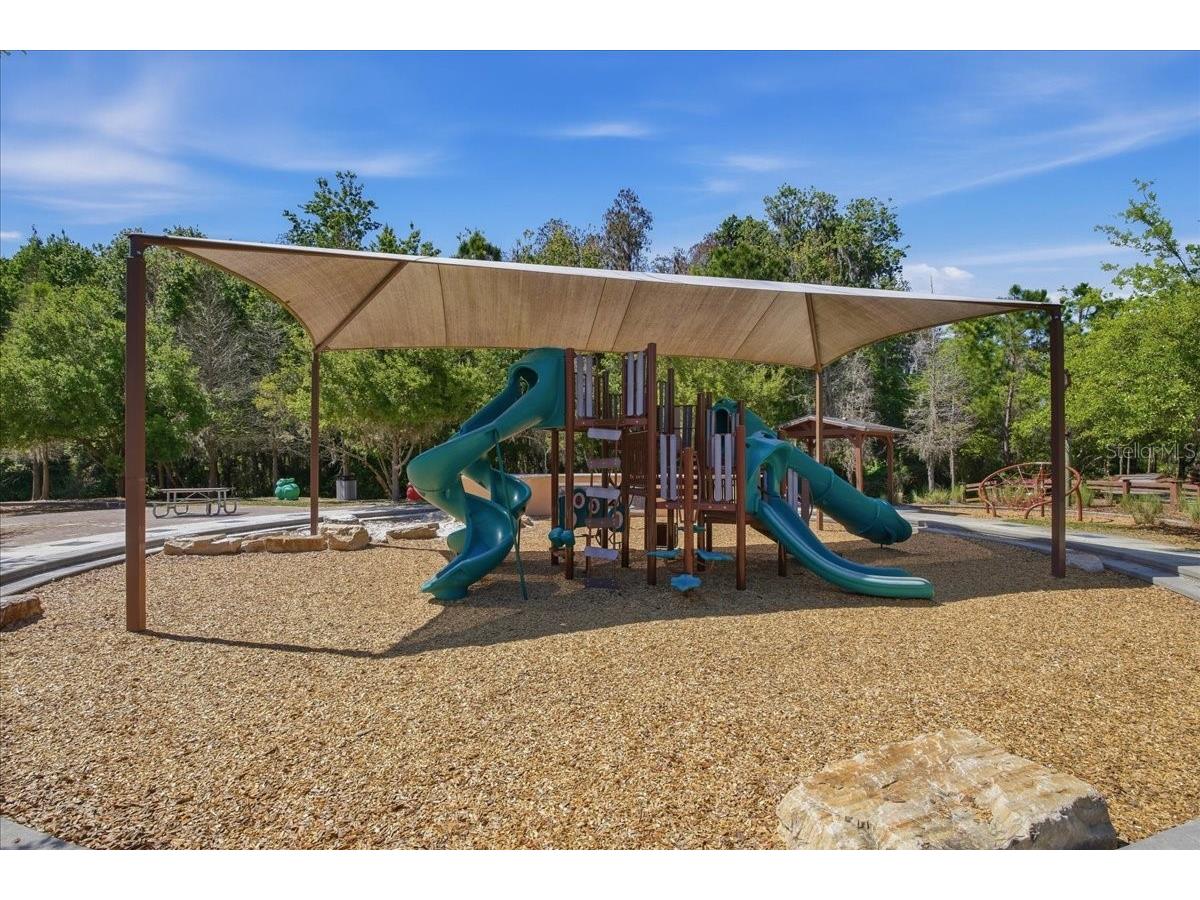 1695 Ludington Avenue Wesley Chapel FL 33543 TB8488741 image63