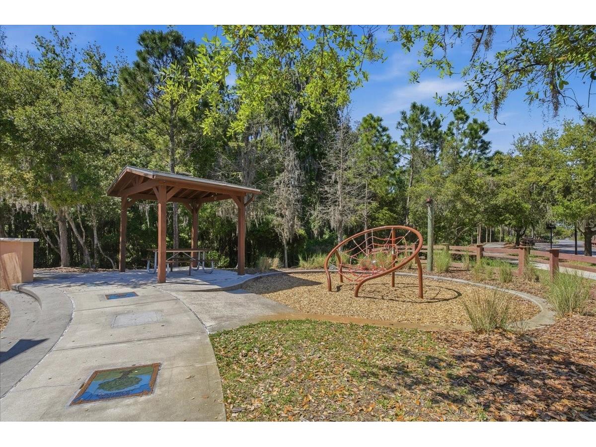 1695 Ludington Avenue Wesley Chapel FL 33543 TB8488741 image64