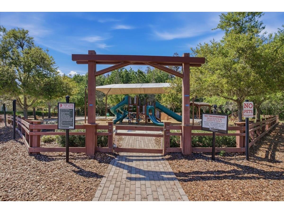 1695 Ludington Avenue Wesley Chapel FL 33543 TB8488741 image65