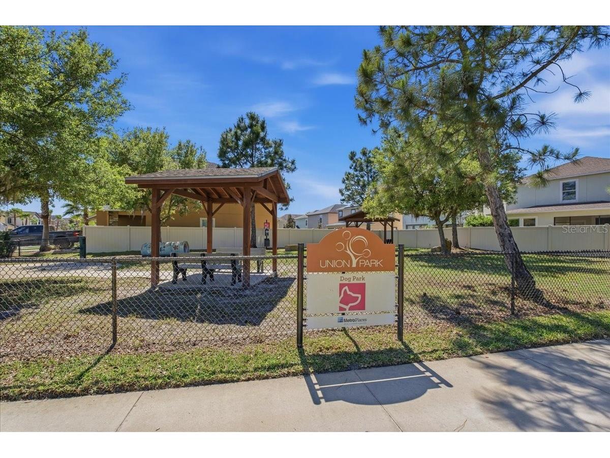 1695 Ludington Avenue Wesley Chapel FL 33543 TB8488741 image66