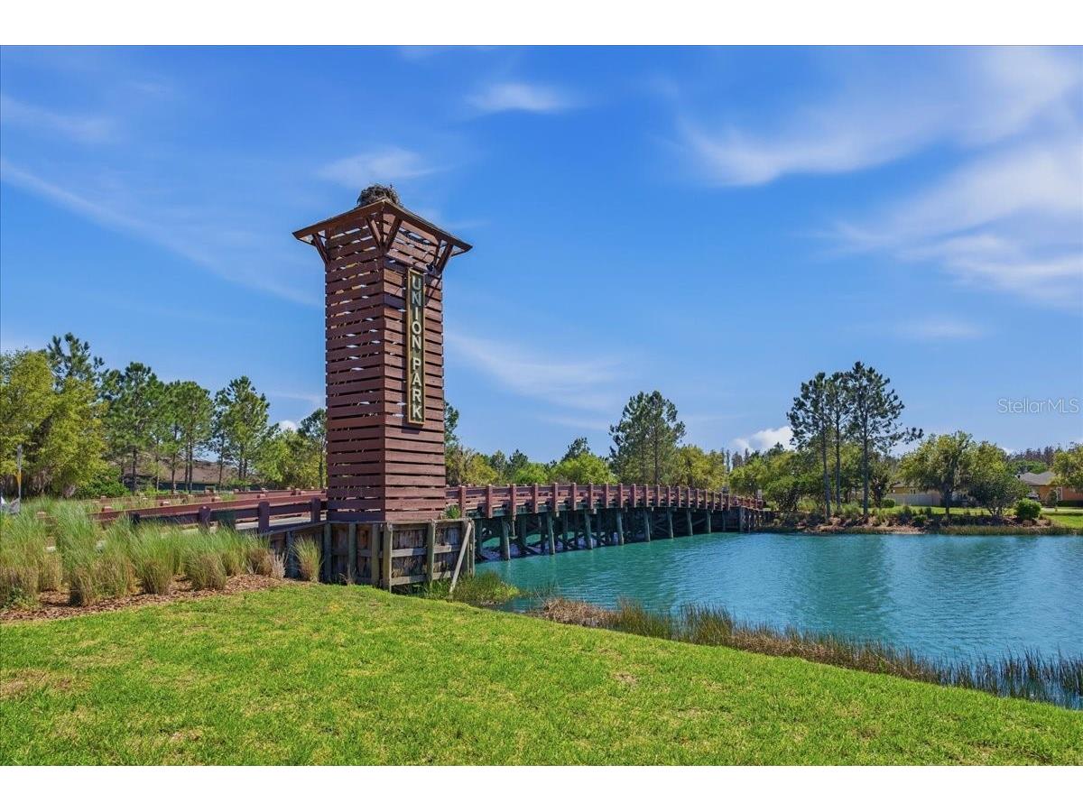 1695 Ludington Avenue Wesley Chapel FL 33543 TB8488741 image68