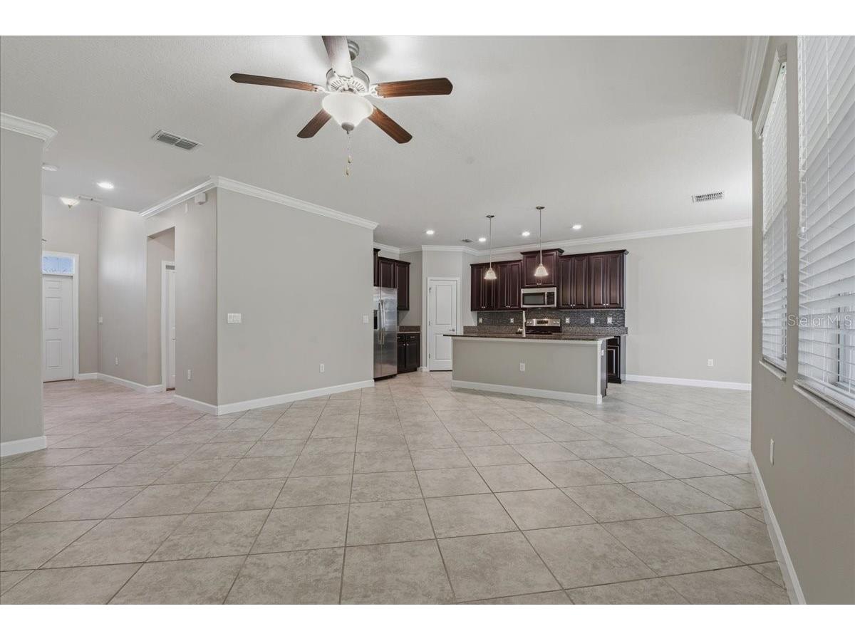 1695 Ludington Avenue Wesley Chapel FL 33543 TB8488741 image9