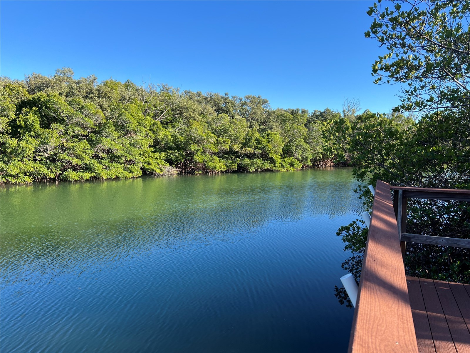 1695 Pinellas Bayway S #D1 Tierra Verde FL 33715 TB8461215 image5