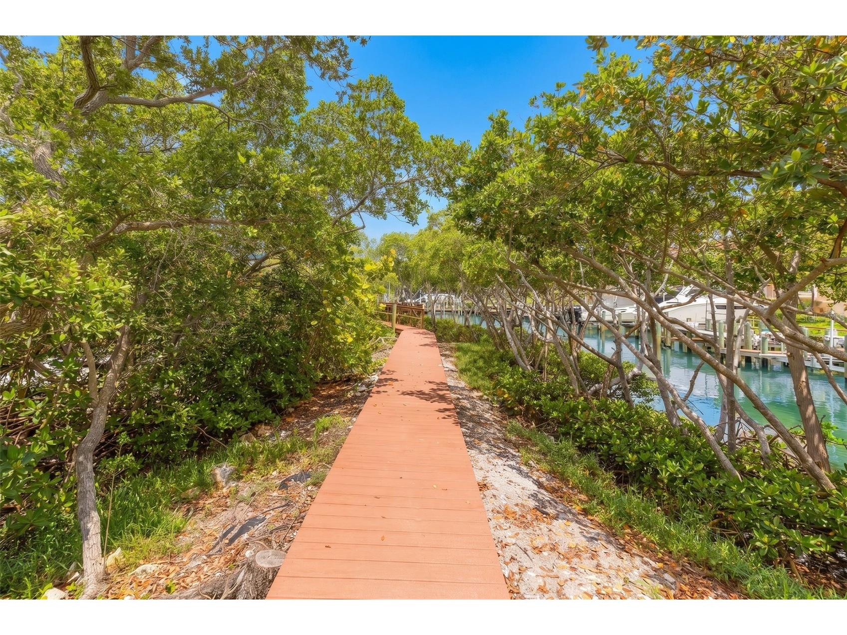 1695 Pinellas Bayway S #D1 Tierra Verde FL 33715 TB8506356 image41