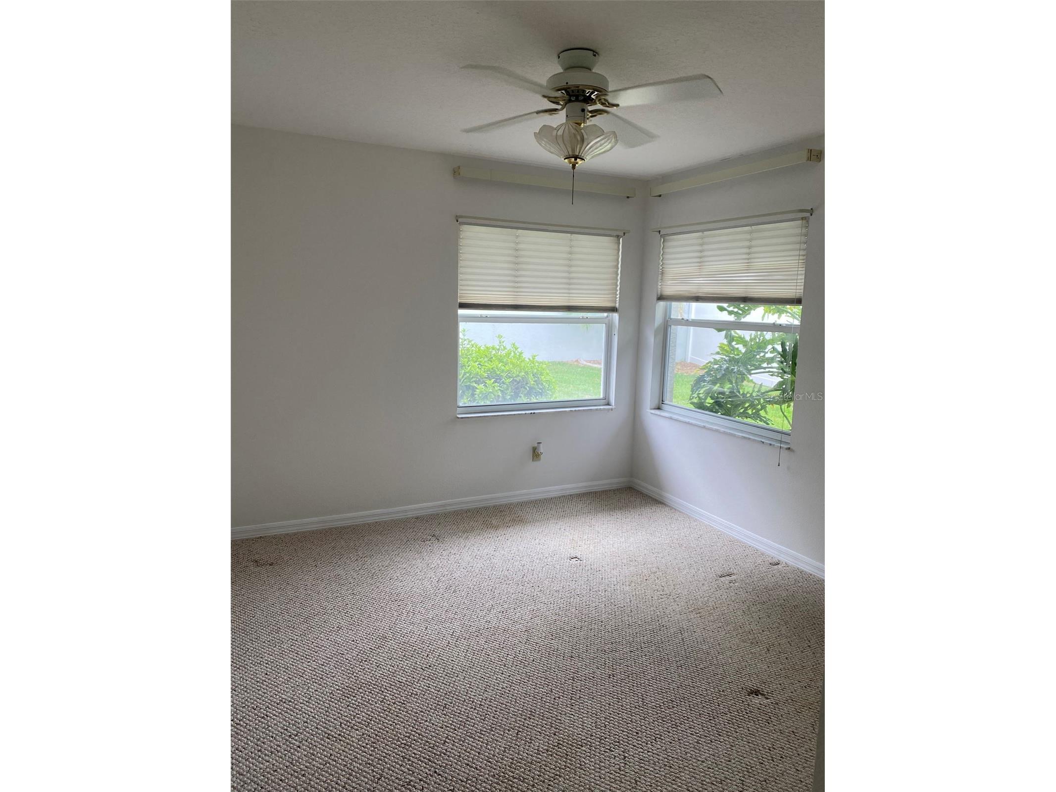 1695 Stable Trail Palm Harbor FL 34685 TB8375225 image11