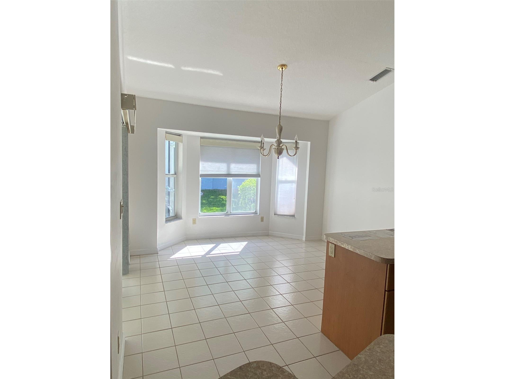 1695 Stable Trail Palm Harbor FL 34685 TB8375225 image7