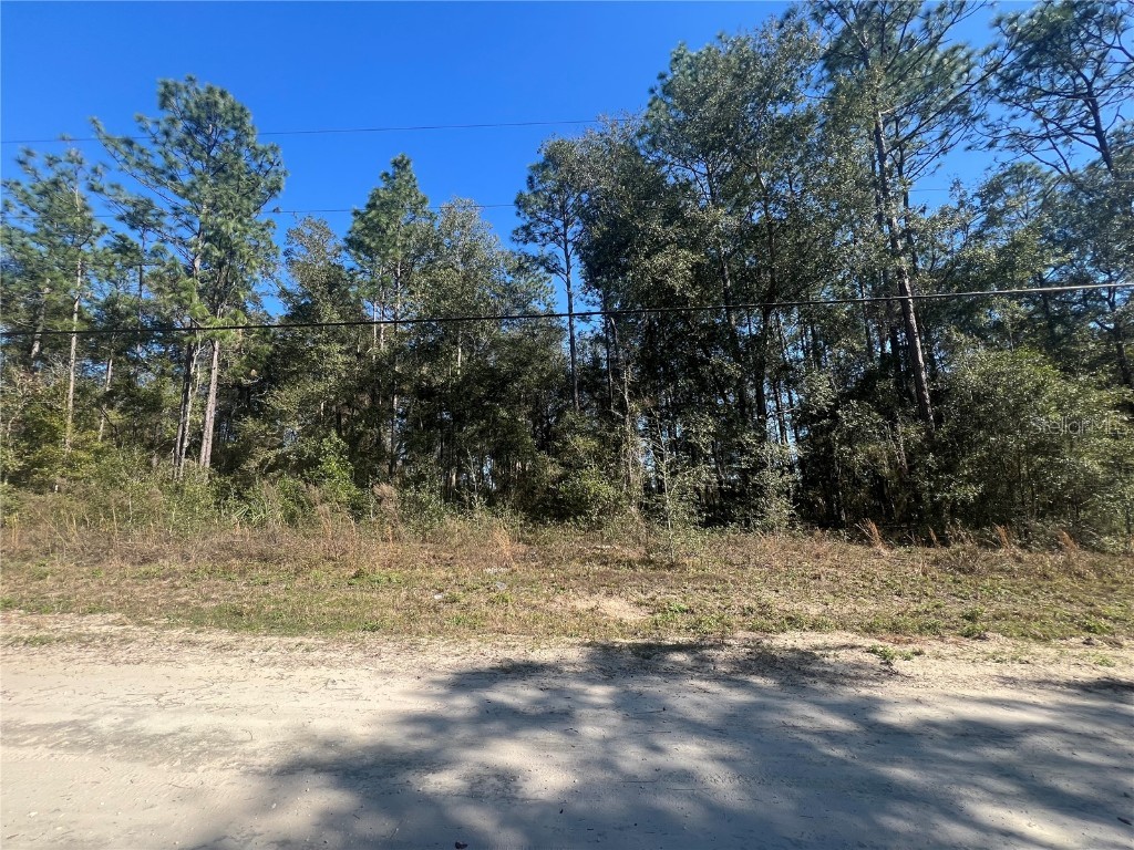 1695 SW 140th Court Ocala FL 34481 OM671783 image1