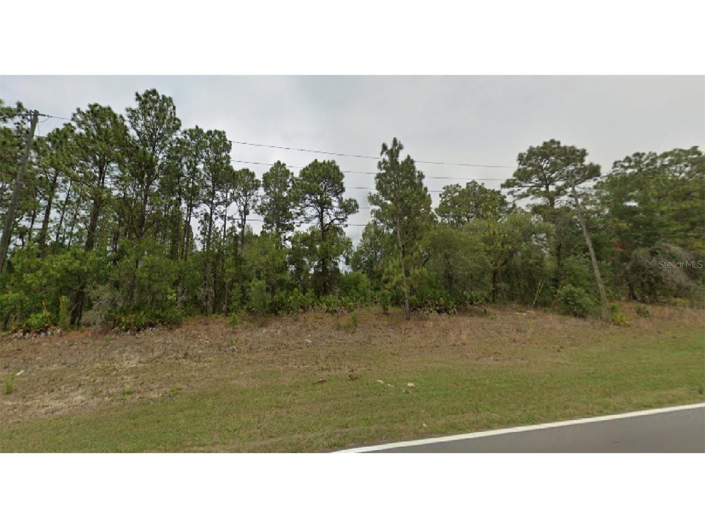 1695 W Citrus Springs Boulevard Citrus Springs FL 34434 O6139277 image1