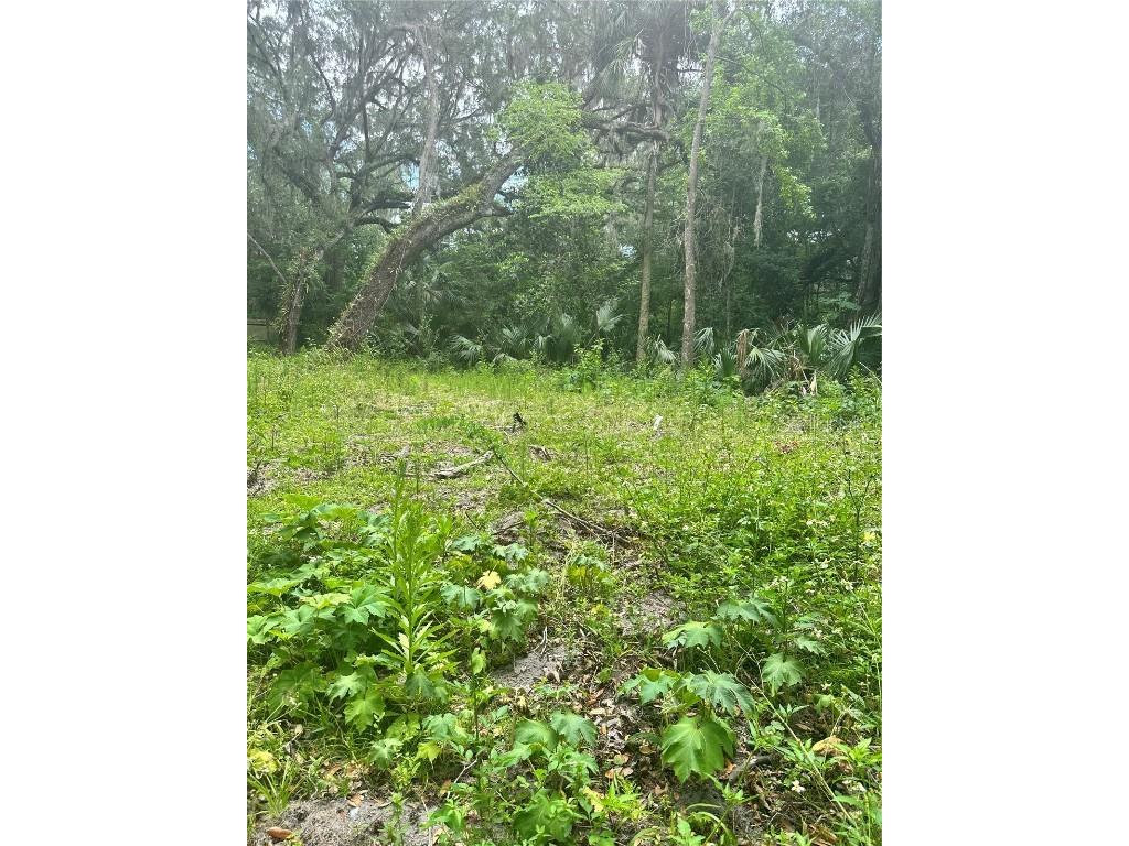 16950 NE 40th Court Citra FL 32113 OM657713 image1