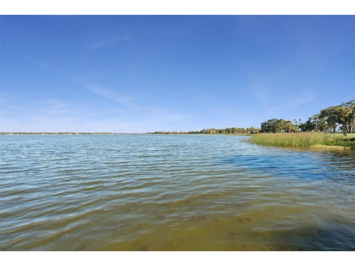 16951 Deer Island Road Tavares FL 32778 - LAKE DORA G5104554 image3