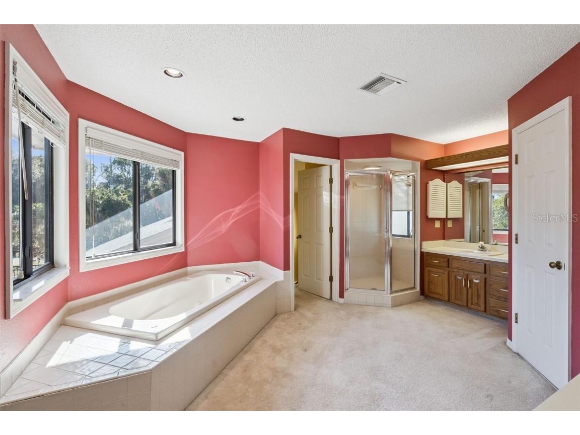 16951 Deer Island Road Tavares FL 32778 - LAKE DORA G5104554 image45